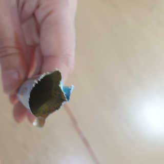 최강아키타견님이 올린 리뷰 사진 1