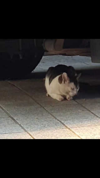 옹옹님이 올린 리뷰 사진 3