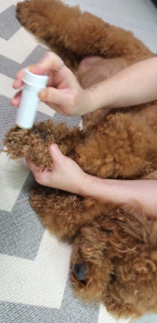 용용마마님이 올린 리뷰 사진 3