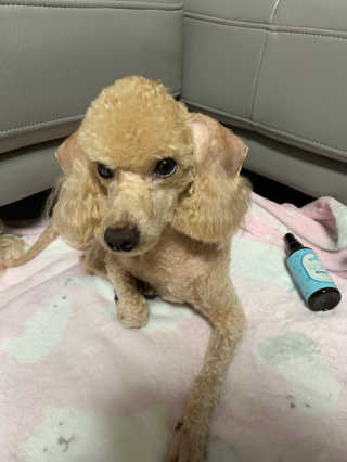 꼬꼬모모님이 올린 리뷰 사진 3