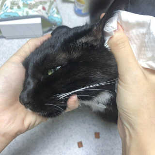 oiho님이 올린 리뷰 사진 3