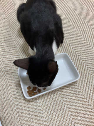 심정님이 올린 리뷰 사진 4