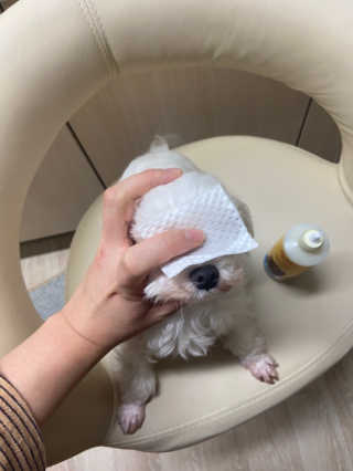 yoniyoni님이 올린 리뷰 사진 1
