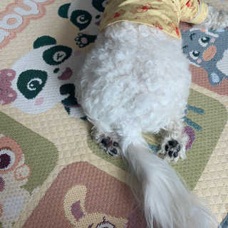쪄니호잇님이 올린 리뷰 사진 1