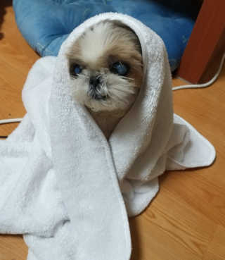 하나님이 올린 리뷰 사진 1