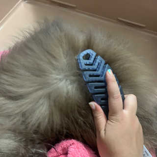 [엘 아미고] 펫 브러쉬 - 펄시리즈 — 5점을 준 리뷰어가 2020년 4월 올린 사용 사진