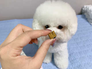 rainbow._.bub님이 올린 리뷰 사진 4