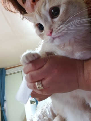 박코끼리님이 올린 리뷰 사진 4