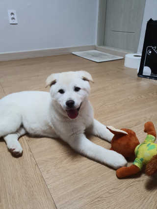 SeRyeonfit님이 올린 리뷰 사진 1