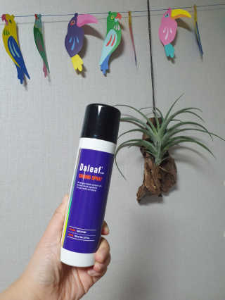 달리프 글램 샤이닝 스프레이 150ml — 5점을 준 리뷰어가 2020년 6월 올린 사용 사진