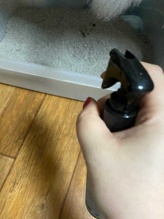 단발소녀님이 올린 리뷰 사진 1