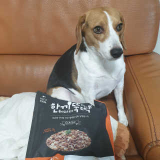 beaglelove님이 올린 리뷰 사진 1
