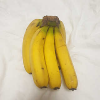 [스미후루] 감숙왕 바나나 2팩 2.6kg 이벤트 — 5점을 준 리뷰어가 2020년 9월 올린 사용 사진