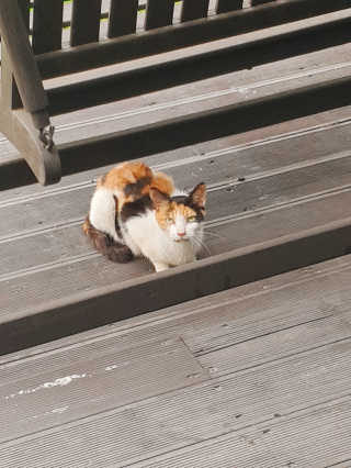 라임님이 올린 리뷰 사진 1