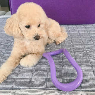 달콩아띠님이 올린 리뷰 사진 3