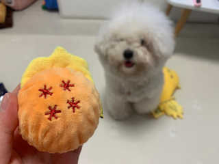 용용맹님이 올린 리뷰 사진 2