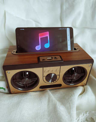 SEVIZ RETRO20W 레트로 블루투스 스피커 — 5점을 준 리뷰어가 2020년 8월 올린 사용 사진