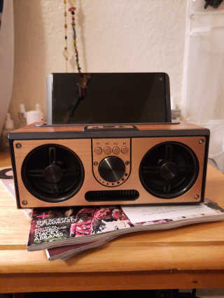 SEVIZ RETRO20W 레트로 블루투스 스피커 — 5점을 준 리뷰어가 2020년 6월 올린 사용 사진