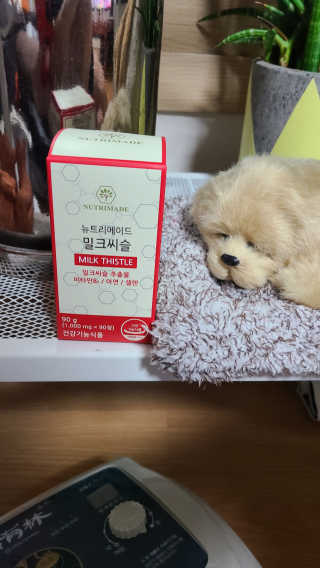 sunny님이 올린 리뷰 사진 1