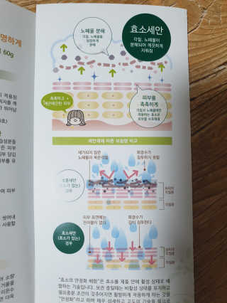 piljael 인스타님이 올린 리뷰 사진 3