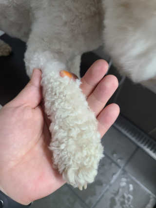 Claire님이 올린 리뷰 사진 4