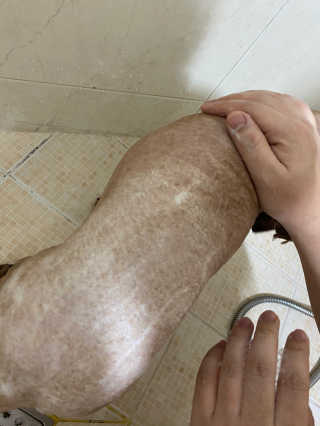 짱아둥이님이 올린 리뷰 사진 3
