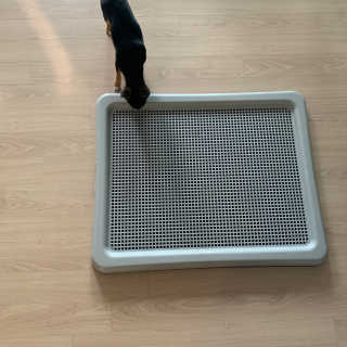 정열매님이 올린 리뷰 사진 2