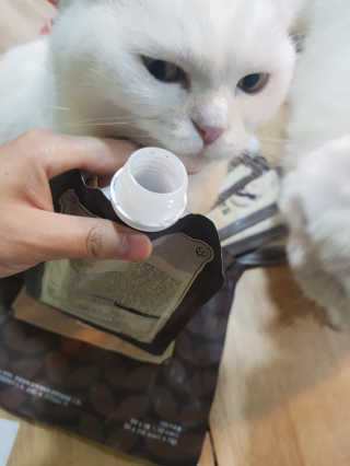 논지님이 올린 리뷰 사진 3