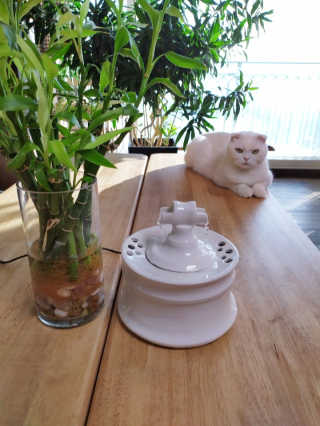 좋아님이 올린 리뷰 사진 3