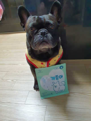 My Pet Care 천연단백질 눈건강에 개좋아 — 4점을 준 리뷰어가 2020년 11월 올린 사용 사진