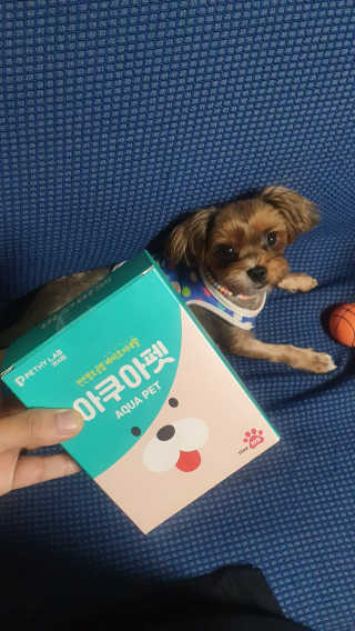 펫시랩 반려견용 액상 프리바이오틱스 아쿠아펫 — 2점을 준 리뷰어가 2020년 12월 올린 사용 사진