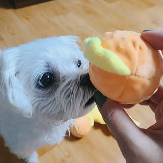 쮸디님이 올린 리뷰 사진 2