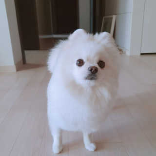 꺼네오기님이 올린 리뷰 사진 3