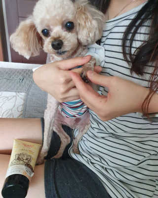 위니님이 올린 리뷰 사진 1