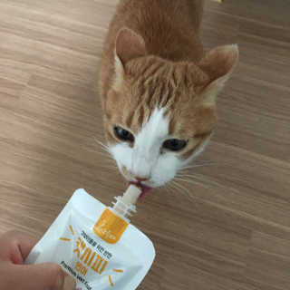 또블리님이 올린 리뷰 사진 3