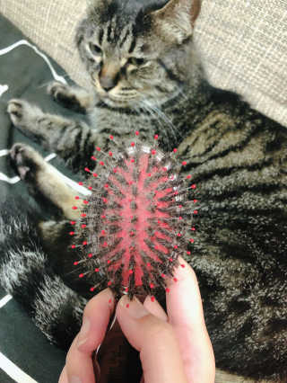りりる님이 올린 리뷰 사진 3
