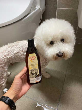 사커맘님이 올린 리뷰 사진 1