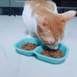 짱현정님이 올린 리뷰 사진 3