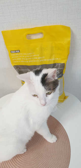 겟플렉스 켓플렉스 캣츠룸BS-1 고양이모래 4kg — 4점을 준 리뷰어가 2020년 12월 올린 사용 사진