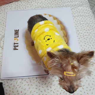 솜희님이 올린 리뷰 사진 3