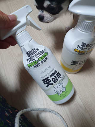 빈이율빠님이 올린 리뷰 사진 3