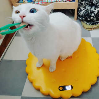 야키소바빵님이 올린 리뷰 사진 1