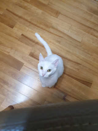 종님님이 올린 리뷰 사진 3
