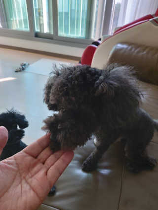 몽이님이 올린 리뷰 사진 1