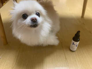 유블님이 올린 리뷰 사진 2