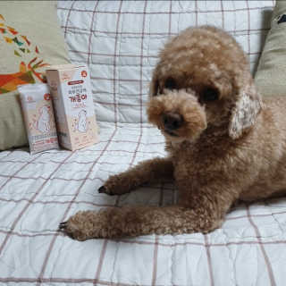 My Pet Care 모발과 모질 피부건강에 개좋아 — 4점을 준 리뷰어가 2020년 12월 올린 사용 사진
