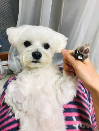 버츠비 케어플러스 릴리빙포앤노즈로션 — 5점을 준 리뷰어가 2020년 11월 올린 사용 사진