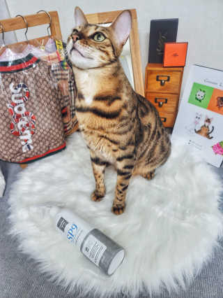 효니님이 올린 리뷰 사진 1