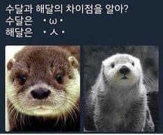 서현님이 올린 리뷰 사진 3