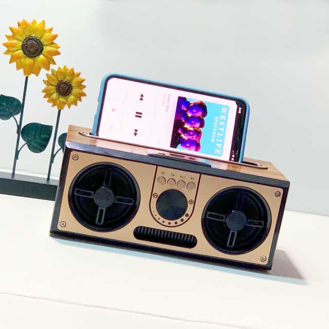 SEVIZ RETRO20W 레트로 블루투스 스피커 리뷰 사진